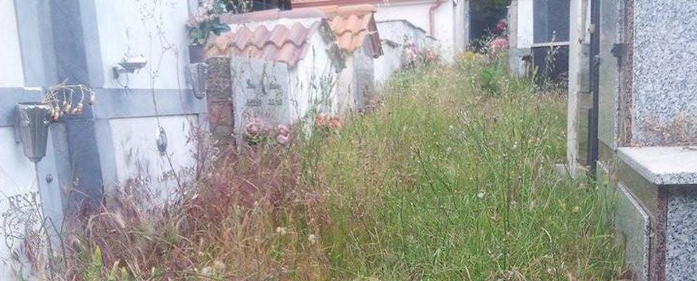 L’abbandono del cimitero di campoli