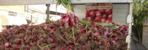 Vendita false “Cipolle Tropea”,2 denunce item-thumbnail
