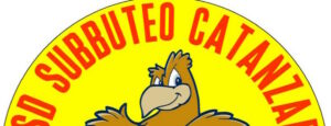 Maida: torneo di subbuteo item-thumbnail