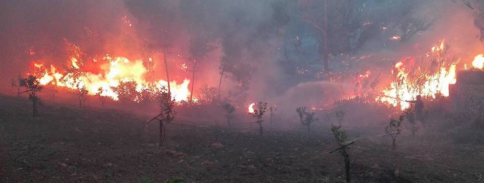 Incendio in località Carrubara di Caulonia