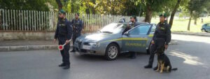 GDF: sequestraTO mezzo chilo di droga item-thumbnail