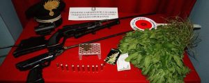 Trovati con armi e marijuana, arrestati item-thumbnail