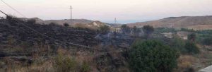 Incendio Riace, danneggia fili del telefono, le foto item-thumbnail