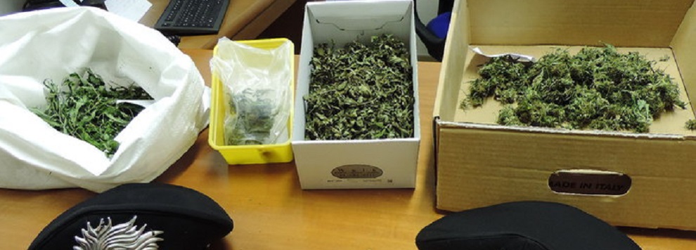 Coltivava marijuana in casa, arrestato