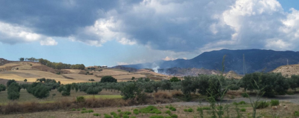 Incendio tra Roccella e Marina di Gioiosa Ionica