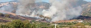 In fiamme il territorio di Caulonia: tre grandi incendi item-thumbnail