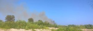 Incendio alla foce dell’ Allaro item-thumbnail