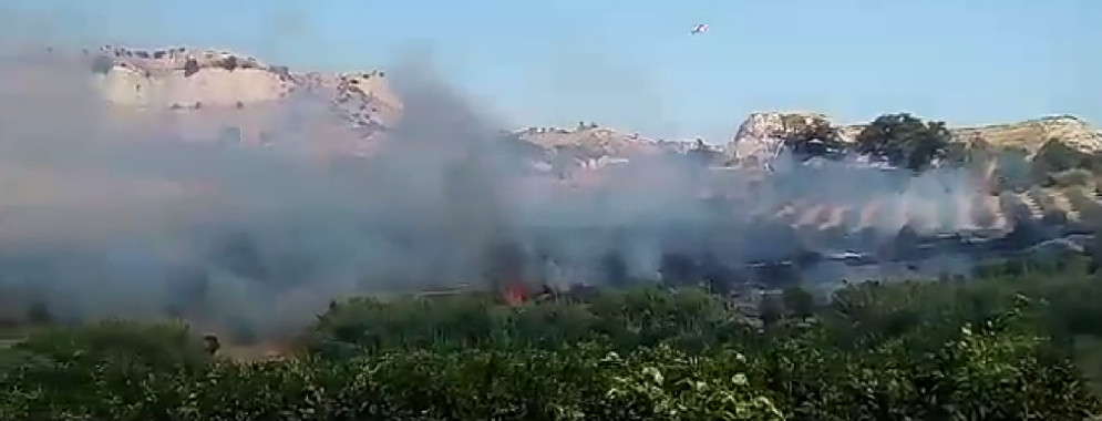 Video degli incendi di Caulonia