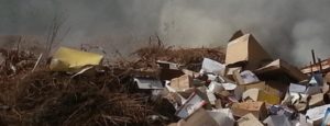 Rifiuti in Calabria, Aiello: “Siamo di fronte all’ennesimo scempio ambientale” item-thumbnail