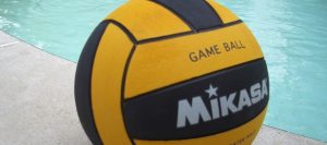 La pallavolo Gioiosa presenta i nuovi acquisti item-thumbnail