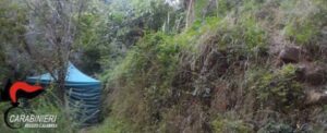 Coltivazione droga in Aspromonte, arresto item-thumbnail