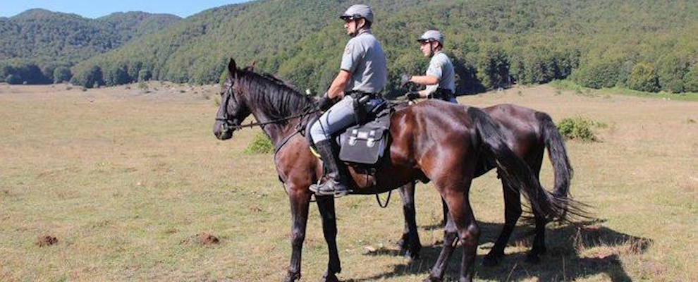 Pista abusiva nel Pollino, due denunce