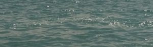 La fogna sguazza nel mare di Caulonia – VIDEO item-thumbnail