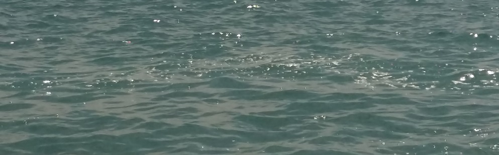 Un turista segnala nel mare di Caulonia la solita scia di schiuma melmosa