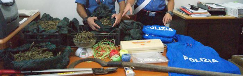 Imprenditore arrestato con 3,5 kg droga