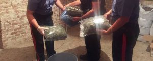 Scoperto laboratorio per la produzione di droga nel reggino item-thumbnail