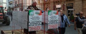 Chiuso in gabbia, protesta per SS 106 item-thumbnail