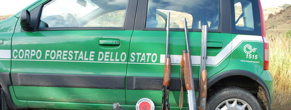 Reggio Calabria, usavano richiami illegali: Denunciati 5 cacciatori
