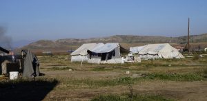 RIENTRATA LA CAROVANA SOLIDALE E RESISTENTE CALABRESE DAI CAMPI PROFUGHI IN GRECIA item-thumbnail
