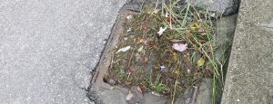 Caulonia marina: molti tombini sono otturati item-thumbnail