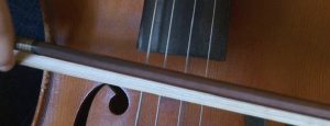 Gioiosa, frazione S. Antonio: concerto per il nuovo anno item-thumbnail