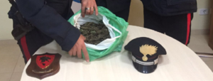 Cannabis in auto. Un arresto item-thumbnail