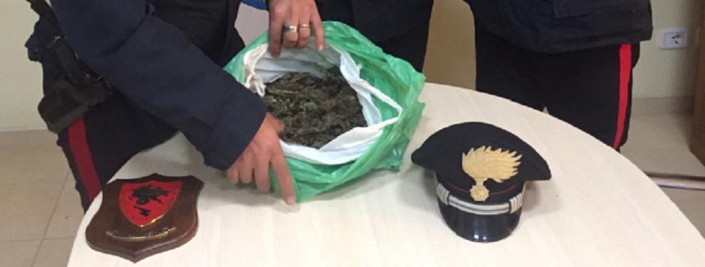 Cannabis in auto. Un arresto