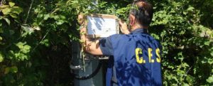 Acque reflue non depurate, Calabria tra le regioni peggiori item-thumbnail