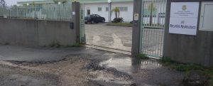 Locri, Centro Neurologico: Cinzia Maurini scrive una “Lettera di Natale” al Sindaco item-thumbnail