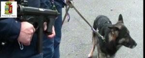 Controlli nella locride: arresti e denunce. Il Video item-thumbnail