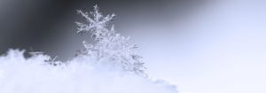 Maltempo: Domani prevista neve al Nord anche a bassa quota item-thumbnail