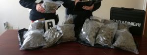 Caulonia: in auto con 6 kg di marijuana. Arrestato Simonetta Vincenzo (foto) item-thumbnail