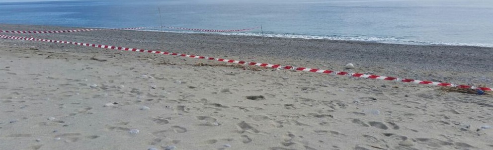 Ritrovamento sospetto sulla spiaggia di marina di Gioiosa. Allertata l’Arpacal