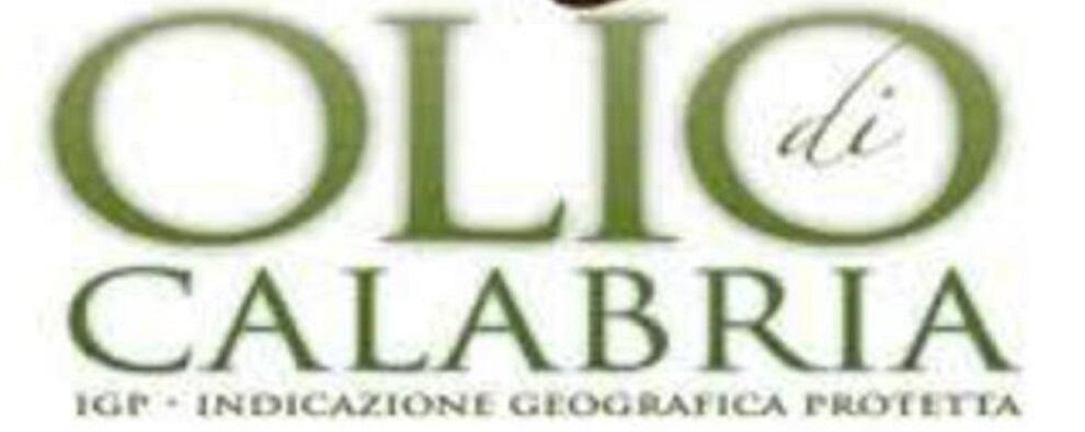 Olio di Calabria ottiene tutela Ue con l’Igp