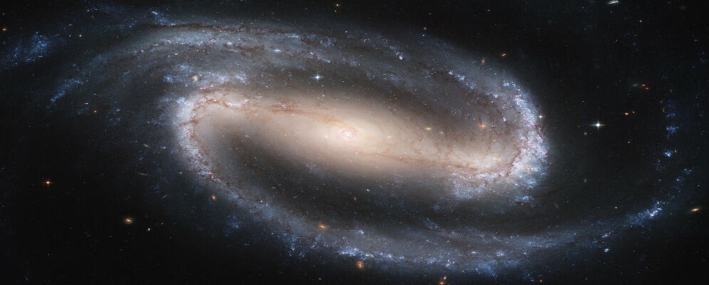 100 studenti calabresi ammessi Seconda fase Olimpiadi Nazionali di Astronomia