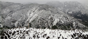 Campoli innevata item-thumbnail