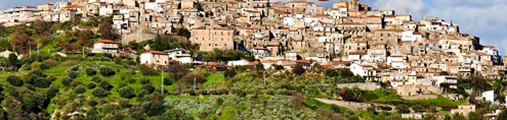 Arrestato a Stignano un nigeriano per maltrattamenti e lesioni personali