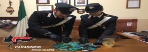 Gioia Tauro: Arrestato 26enne per detenzione ai fini di spaccio di sostanze stupefacenti item-thumbnail