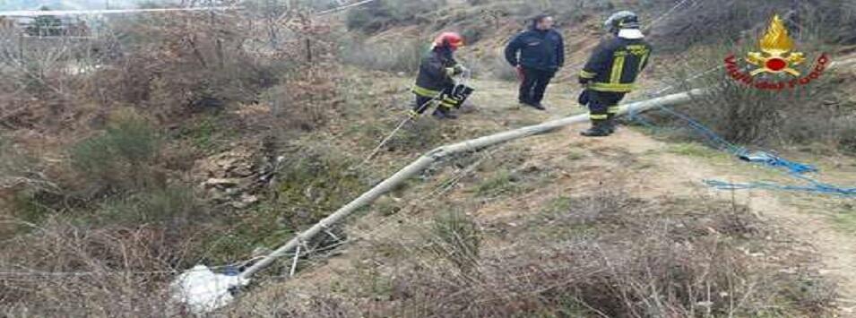 Calabria, Operaio muore travolto da un palo