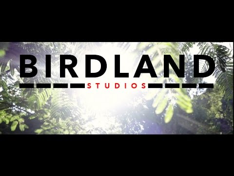 BirdlandStudios
