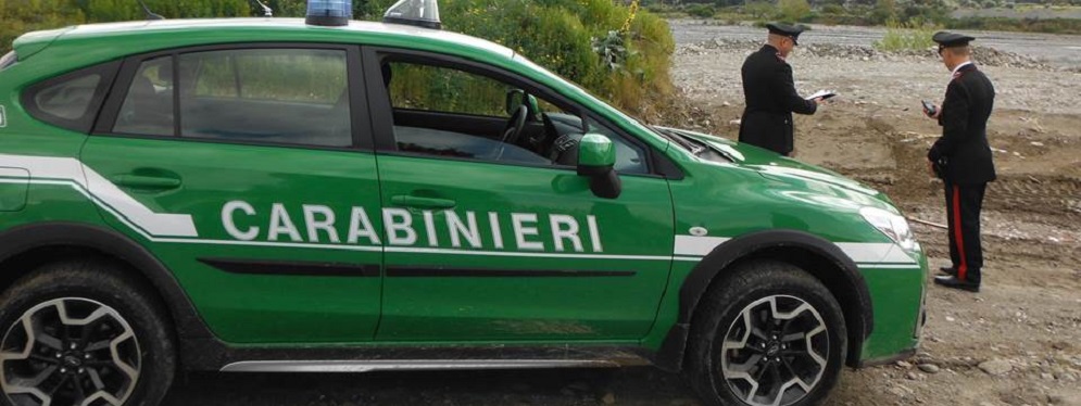 Carabinieri sorprendono cacciatori in un’area protetta del Parco Nazionale dell’Aspromonte