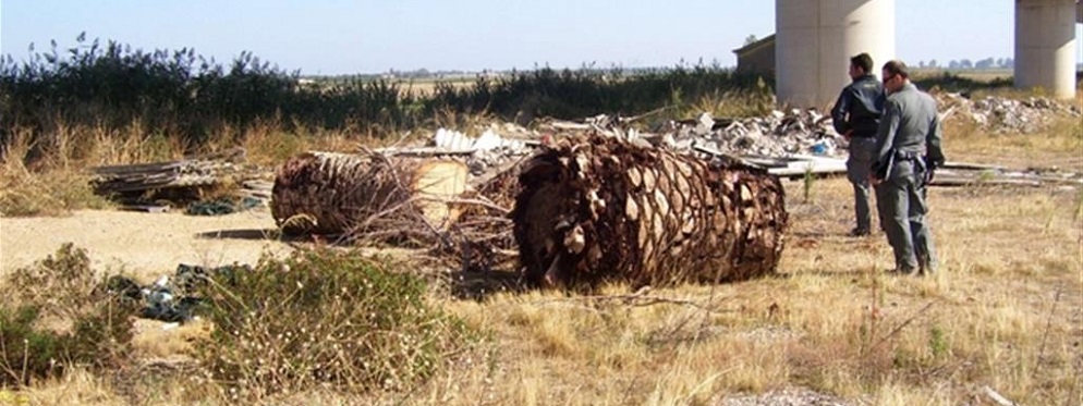 Calabria. «Scorie interrate, impennata di tumori»