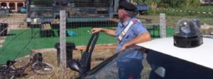 Irregolarità presso un allevamento di ovi-caprini nel reggino, rinvenuti anche mezzi agricoli rubati item-thumbnail