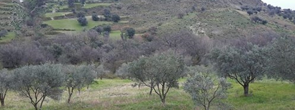 Gli amanti della natura si sono incontrati a Gerace per una giornata di turismo sostenibile