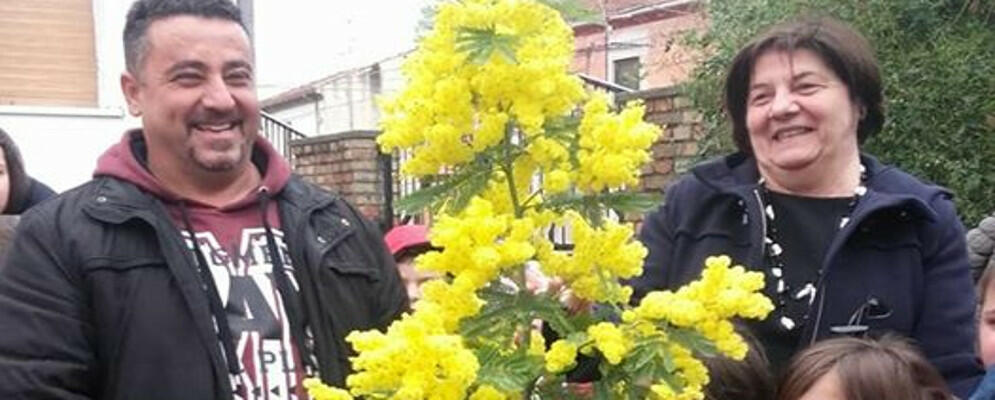 Caulonia, Istituto “Falcone – Borsellino”: Celebrato l’ 8 Marzo con un albero di mimosa