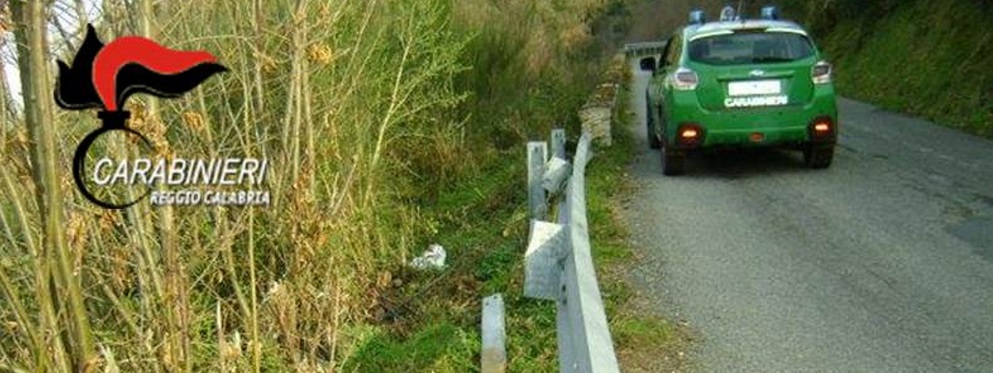 Sant’Eufemia d’Aspromonte: Denunciate due persone