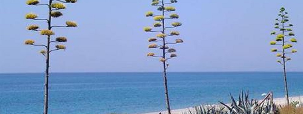 Mare: In Calabria sette “Bandiere blu”