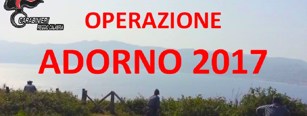 Operazione  Antibracconaggio nel Reggino