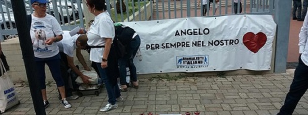 Calabria: Cane Angelo seviziato e ucciso, 4 condanne