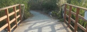 Lettore segnala lo stato di Abbandono della Ciclabile Caulonia-Roccella item-thumbnail